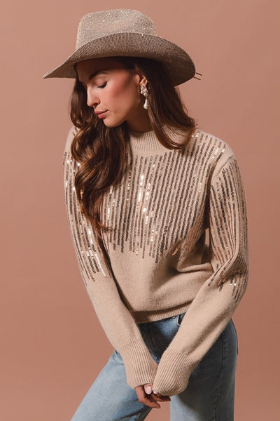 Sequin Embellished Sweater Top